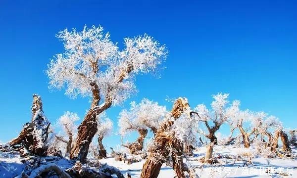 新疆|新疆，雪后的沙漠惊艳全国！