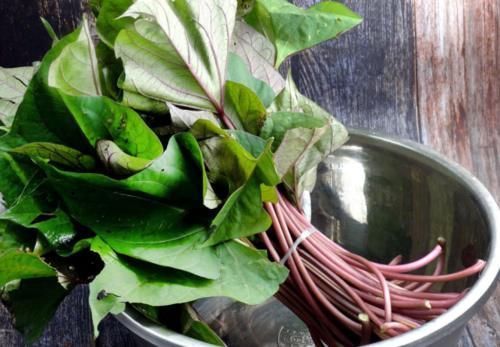 加上一些|藏在身边的“长寿菜”,2块钱一斤,上锅蒸一蒸,比猪肉还好吃