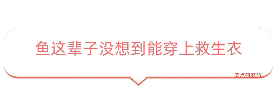 |今日段子：怎样才能把中文写的像外文一样？