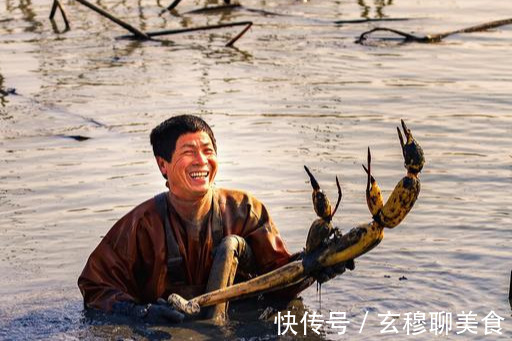 用途|买莲藕时,遇到粉藕和脆藕怎么选搞明白用途再下手,别买错了