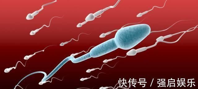 时期|你知道男性精子高质量时期吗这时候生的孩子最聪明，最健康