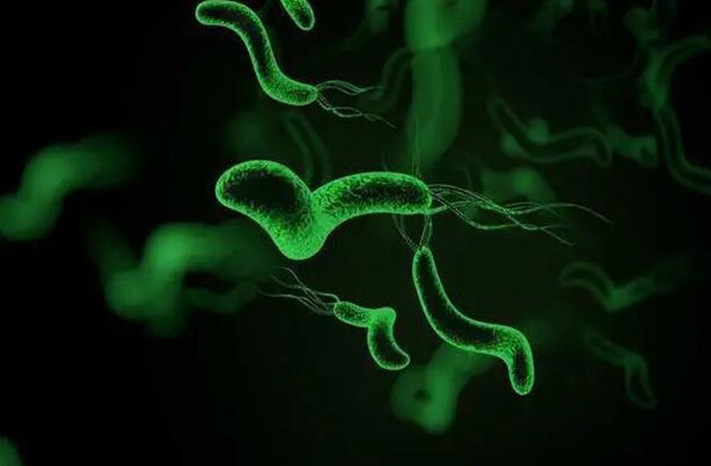 幽门|我国超一半人感染幽门螺杆菌,莫慌!胃部“杀菌克星”已找到