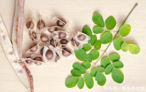 蓉蓉|晚上容易失眠它们是天然“安眠药”,坚持用,让你一觉睡到天亮