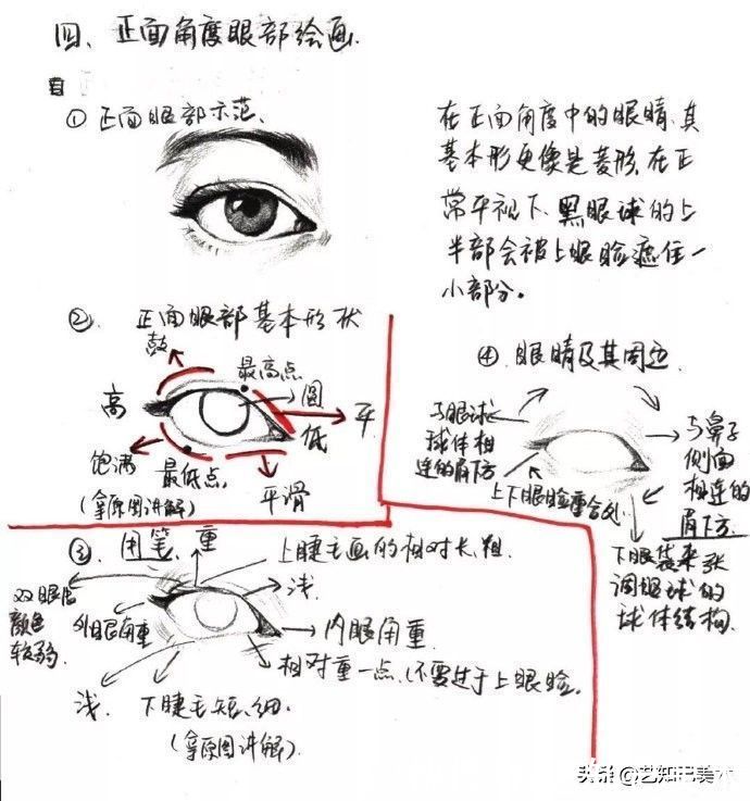 鼻子|速写头部总是掌握不了？让我一篇帮你搞定