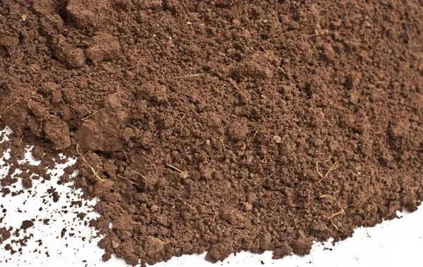 搞来的养花土，少做这一步，养什么花都活不了