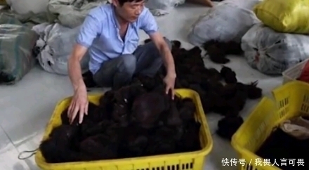 高价|被高价收走的头发,都这样处理了,他们管这叫做“黑金”