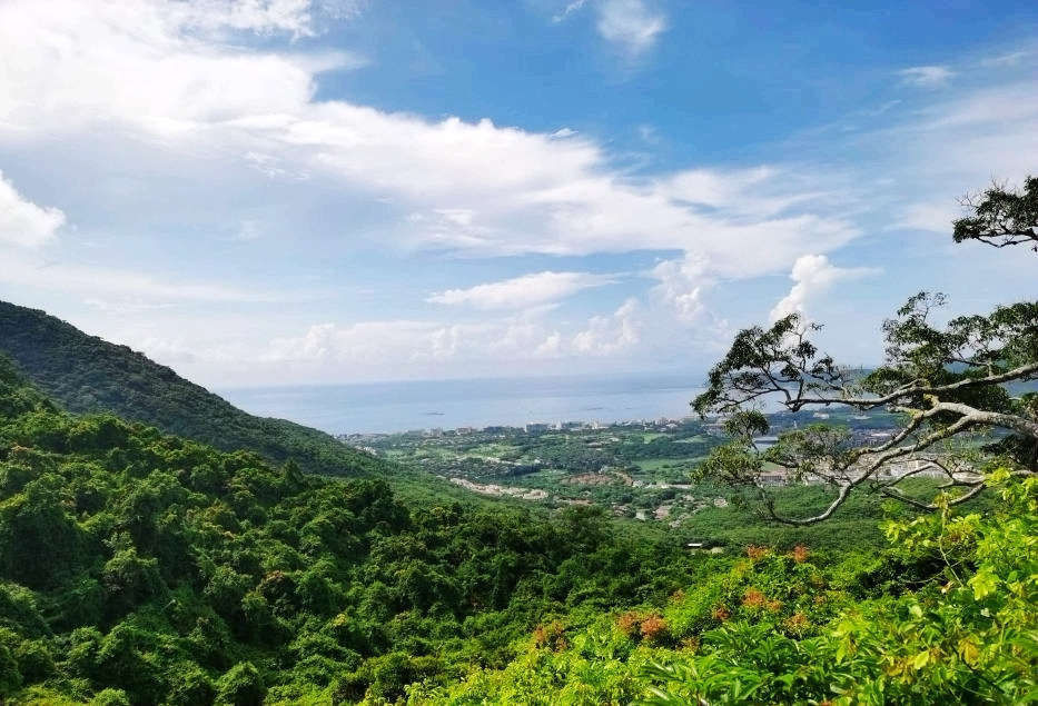 不一样的热带雨林，不一样的美丽风景——游亚龙湾热带天堂森林公园