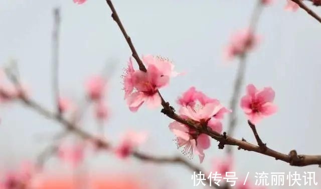 经典@送你最美的30首短诗,首首经典,谁读了都会心醉