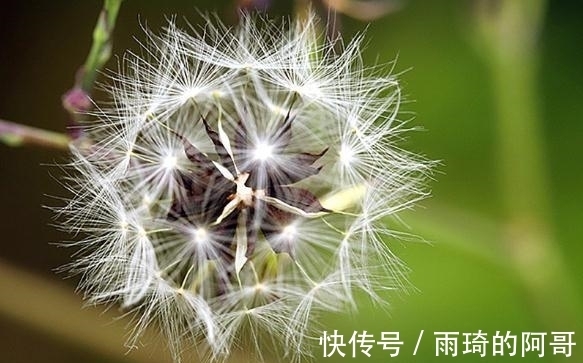 真爱|12生肖8月桃花感情黑红榜：4生肖红鸾星动，收获真爱！