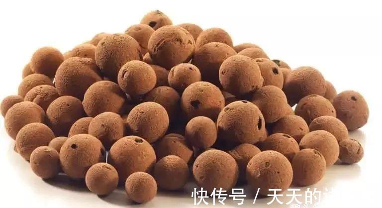基质|“无土派”养花：善用8种栽培基质，混搭出好用的养花“大土”！