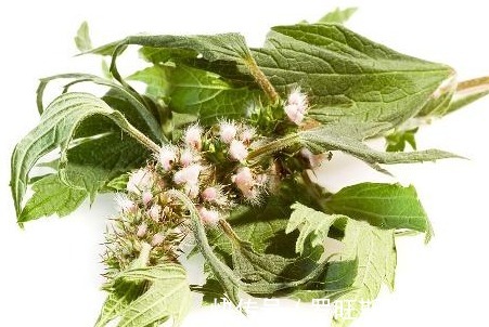 经血|月经量少的女人,牢记“2吃2不吃”,可能有助调理月经,滋养子