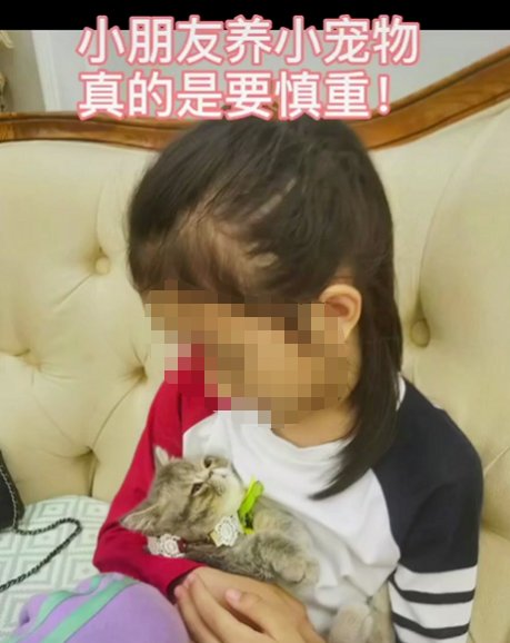 回家|带回家才几天,女儿头顶“秃”了!妈妈崩溃:我悔啊...