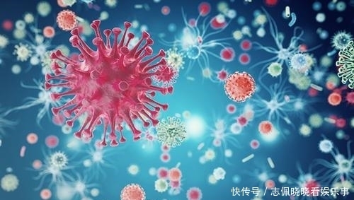 中国终于沉冤得雪!世卫公开新冠真相后,叫得最凶的美国沉默了