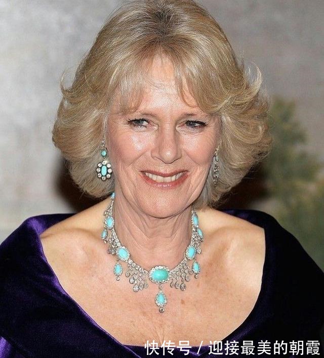 蛇形项链 卡米拉的蛇形项链20年前做情人时查尔斯送的,蛇蝎气质一目了然