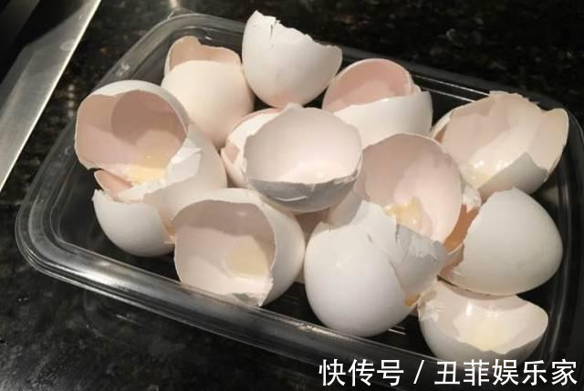 这3种吊兰千万别这么养,不然疯长爆芽,控制不住!