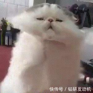 姐妹|纯干货|你到底适合染什么发色