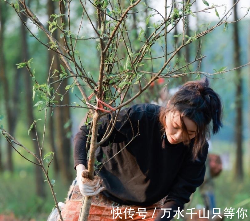 毛毯|《向往》女嘉賓凌晨四點才睡,做了一件讓何炅很感動的事