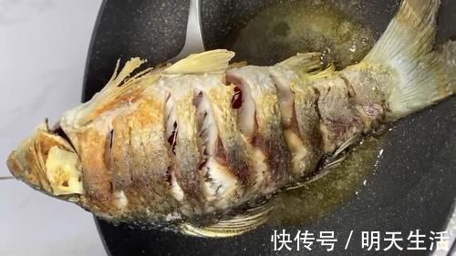 鲜美|家常版红烧鲤鱼,怎么调汤汁是重点,肉质鲜美酱香入味