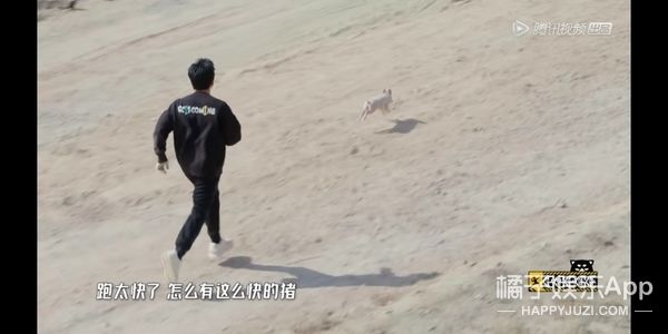 它逃，他追，它…跑的更飞？