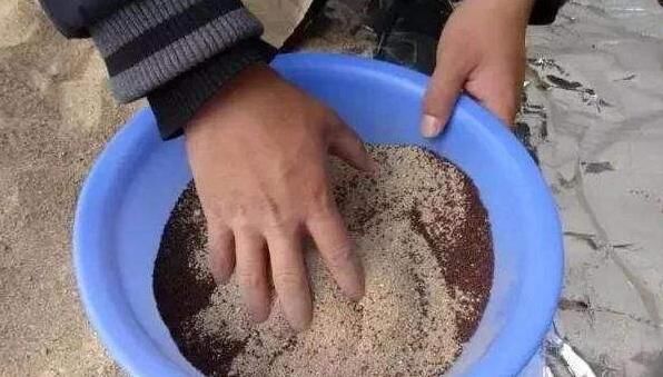 无论养什么花,只要在盆内放上“它”,不仅不积水,还会越长越好