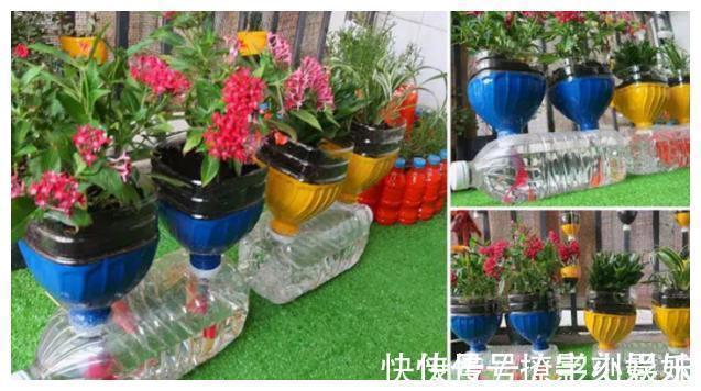 太阳花|别人不要的饮料瓶,被他改成五颜六色花盆,过程引近450万人围观