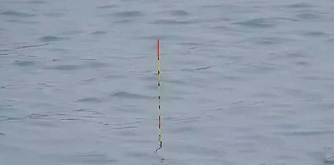 别再琢磨怎么调漂才精准,试试这种方法,不用调漂也能钓