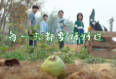 節目|本來想看王冰冰的，沒想到被節目吸了粉