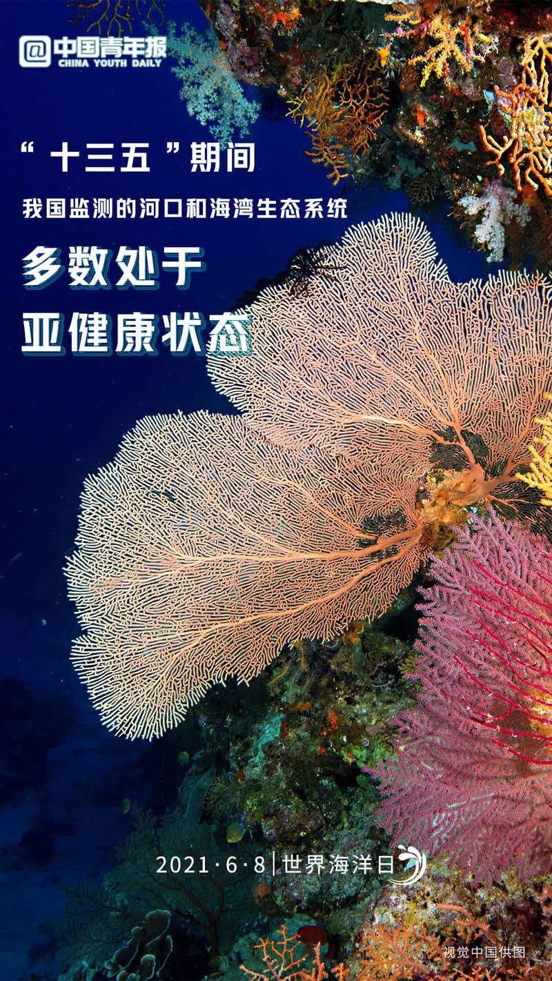 今天是世界海洋日，一起来数读蔚蓝海世界 共建地球生命共同体  蔚蓝海世界