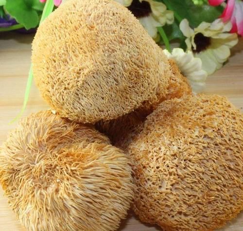 猴头菇怎么烧？