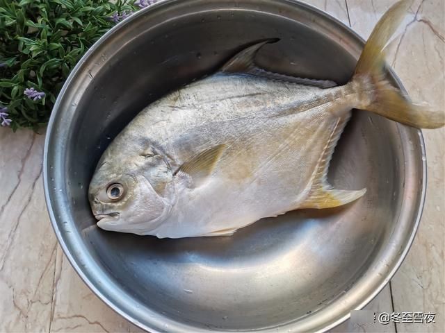 红烧金鲳鱼怎样做才好吃？教你小技巧，煎鱼皮不破，吃着味不腥