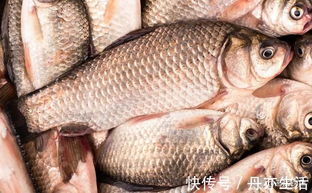 钓鱼时常用的酒米窝料,其实是可以这样生产的,制作方法简单易学