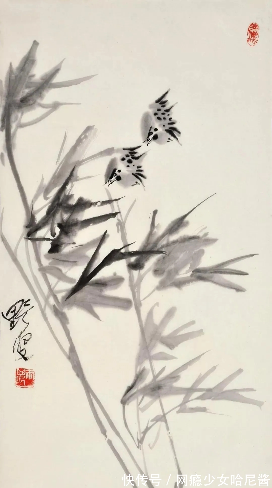 花鸟画@随心所欲、自然天成｜蒋雨浓写意花鸟画