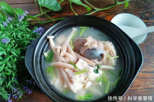 做菌菇豆腐汤,和这个食材一起煮,鲜香味美,香味扑鼻