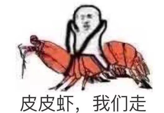 皮皮虾什么梗