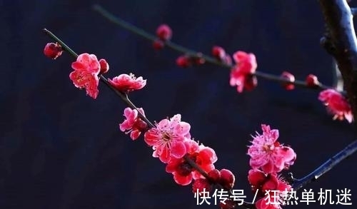 闻语#王安石赞美冬日暖阳,抒写了一首七律,清新质朴,愉悦中略带忧伤