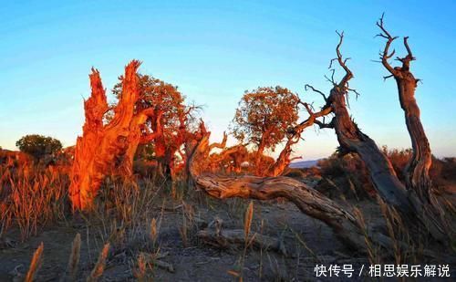 上帝也难滋养的大陆，澳大利亚四面环海，为什么仍有大片沙漠