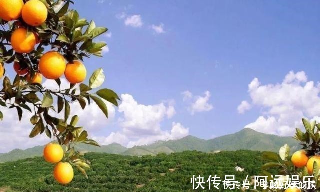 美味|6种美食,建议人到中老年要常吃,营养全面又美味,越吃越健康!