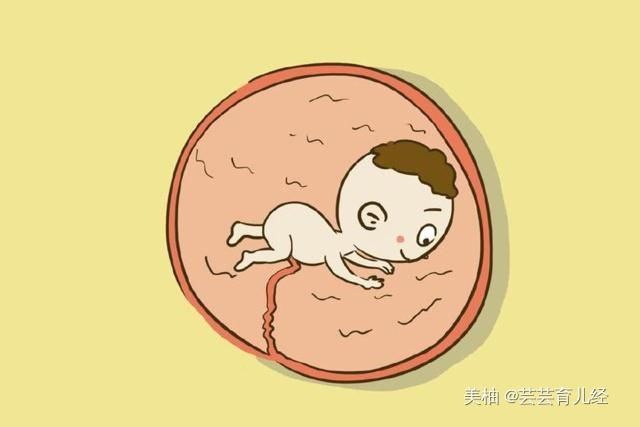 孕七个月|怀孕过三个月就安全了?其实这个月份更危险