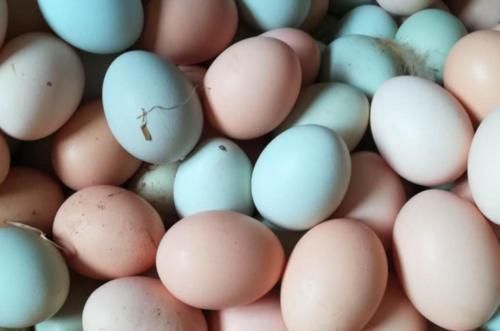 差距|每天坚持吃鸡蛋,和不吃鸡蛋的人,差距会有多大?不妨了解一下