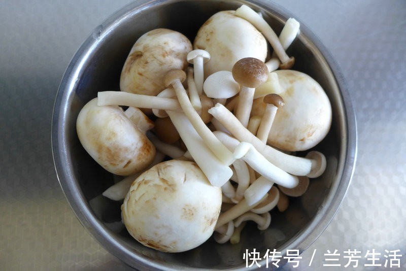 蘑菇|家常葱烧蘑菇，简单炒一炒，比肉都好吃，下饭又解馋