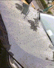 |搞笑GIF:到底是谁?对我的爱车做了些什么