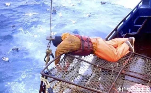 揭秘|揭秘俄罗斯帝王蟹:市场、新格局,鲜美食材背后有看不到的博弈