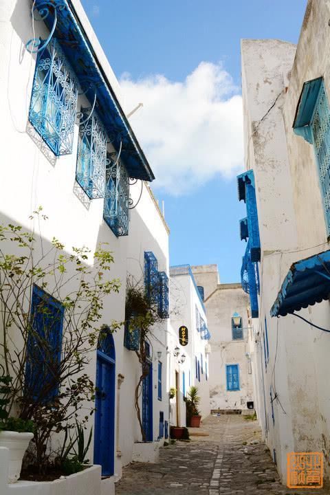 春雪|非洲最梦幻蓝白小镇，在草席咖啡馆抽水烟喝甜茶，这里的惬意不输圣托里尼