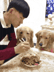 |搞笑GIF趣图:我是让你来锻炼身体的，咋还犯上困了！