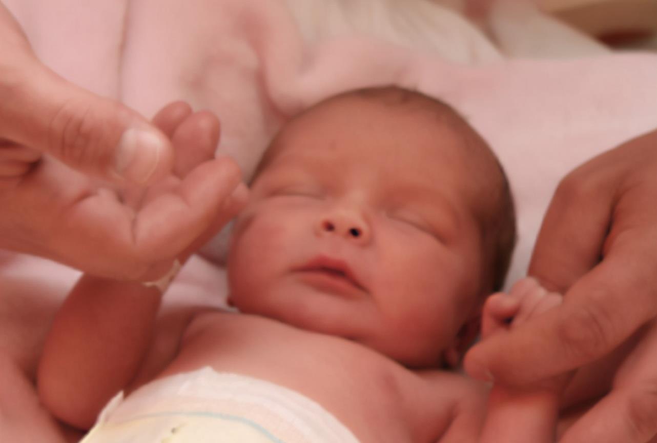 不紧不慢|宝宝“钻碗”火了,妈妈喂饭不紧不慢娃直接啃碗,网友:性子忒急