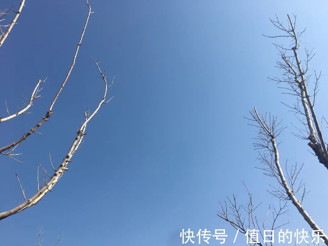 政治家!曹操最脍炙人口的10首诗,读来慷慨激昂,方显英雄本色!