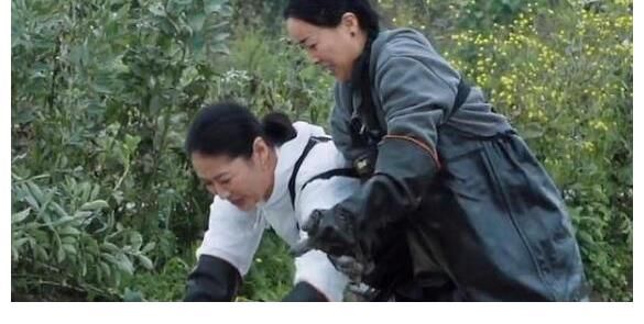 老面孔|五斗米倉庫收購成功，導(dǎo)演張航希慘成打工人，張藝興開啟狂吃模式