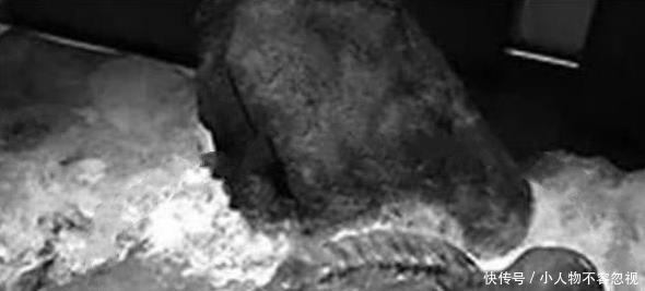 历史|历史上的五大诡异古墓，一墓甚是诡异，一墓至今无人敢动！