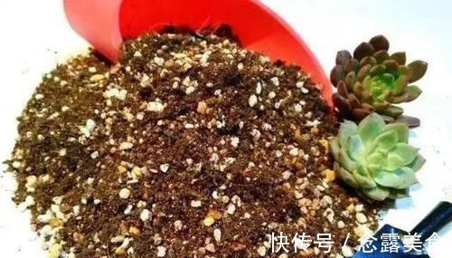 蛭石只有两个作用，在养花的过程中这两个作用表现良好