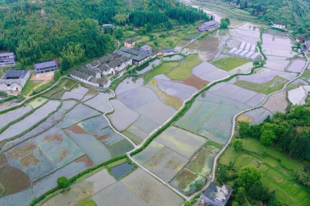 古村落|赣州第一美的古村落，白鹭古村